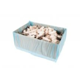 Rotte Springer XXS (25-60g) 10 kg